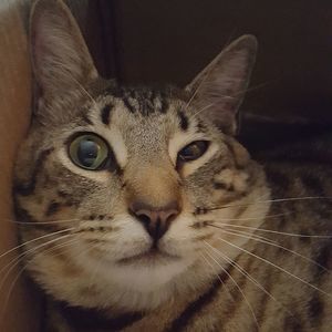 Meet your Posher, Ruben